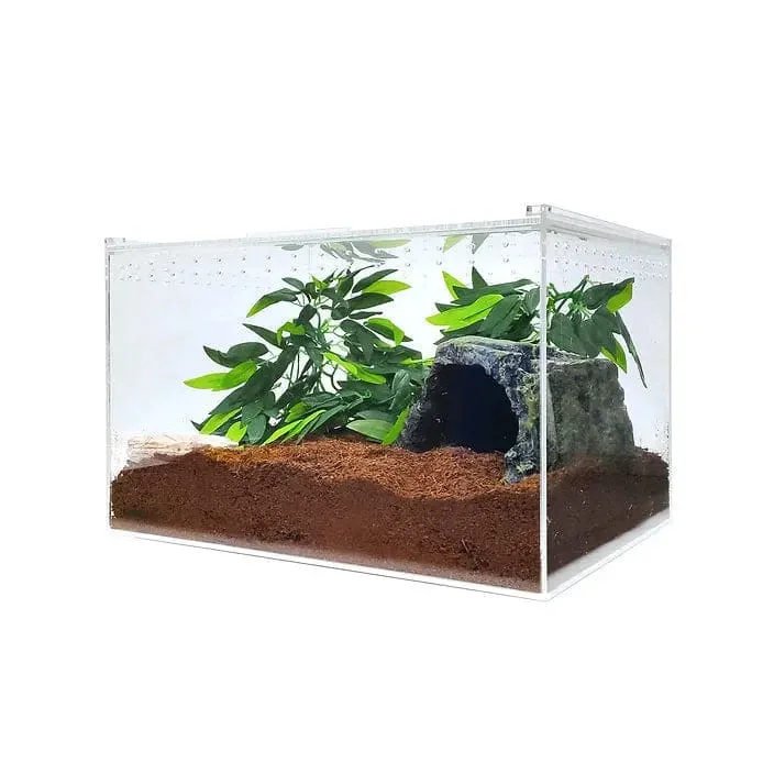 Acrylic Enclosure XLarge Clear Top Transparent Reptile Breeding Box Terrarium Cage Tank for