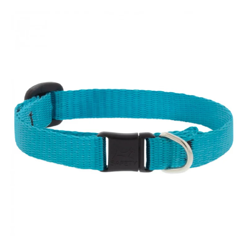 Cat Collar Aqua 1/2'' Basic W/ Bell