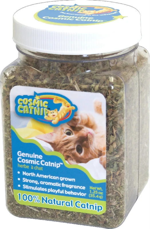 Cosmic Catnip Jar