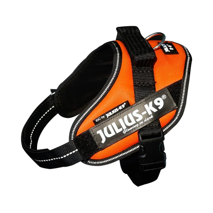 IDC High Visibility Powerharness - UV Orange