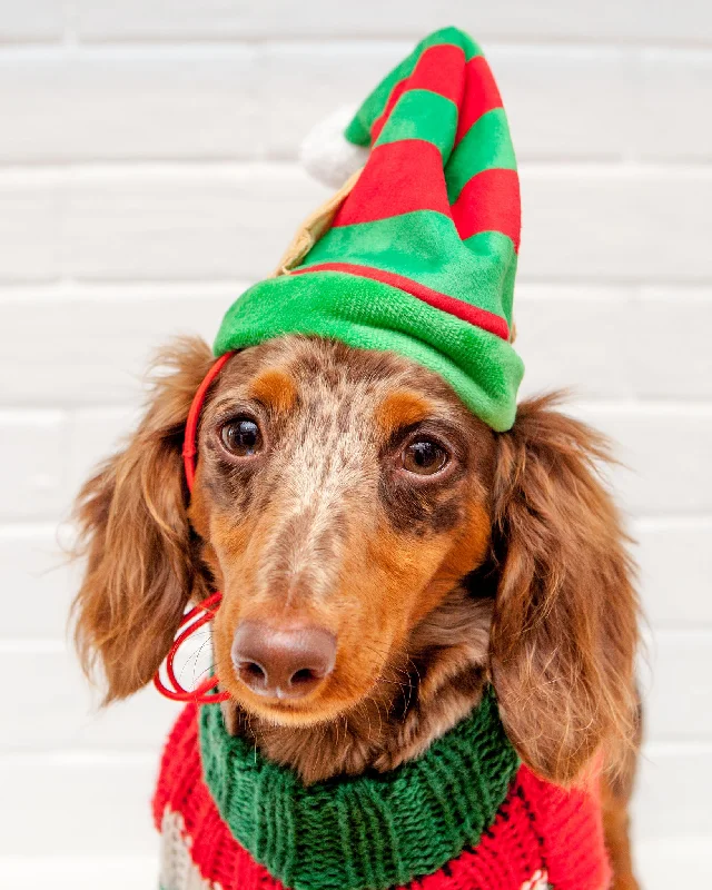 Lil' Helper Elf Hat for Dogs