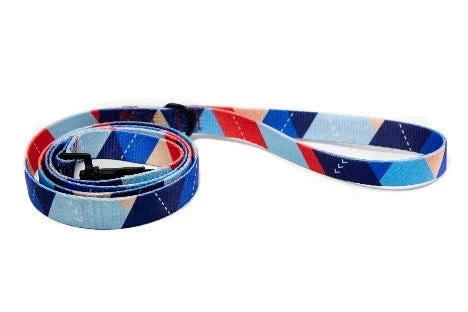 Pickles Ocean Blue Leash