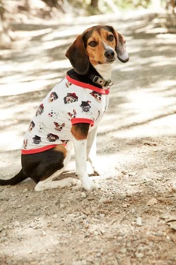 BEDHEAD | Lounge Dog T in Dignified Dog